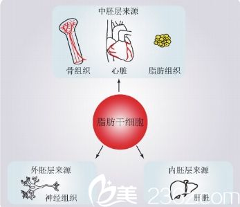 湖北<i data-id='367c1cf4-1986-47e4-90b1-28be4f501572' ></i>脂肪