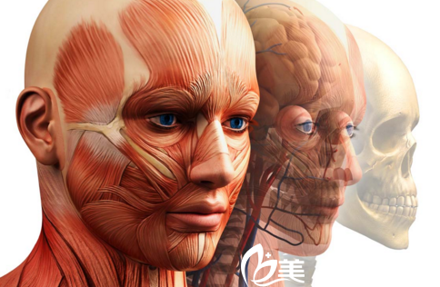 雙鄂修復(fù)手術(shù)——韓國id醫(yī)院—骨骼肌肉組織