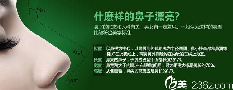 美鼻標(biāo)準(zhǔn)