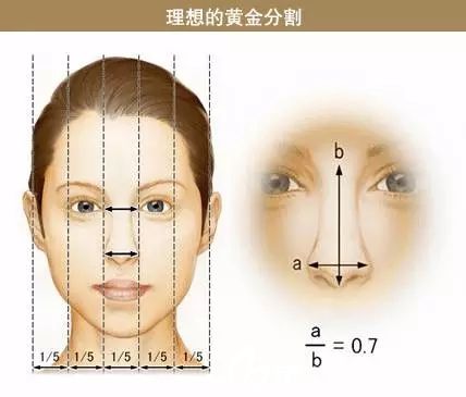 鼻子標(biāo)準(zhǔn)三庭五眼