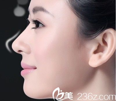 好看的鼻子形態(tài)