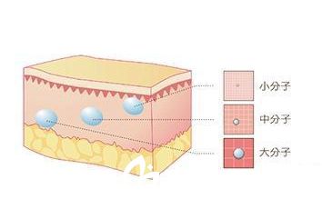 玻尿酸注射層次