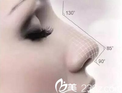 美鼻標(biāo)準(zhǔn)