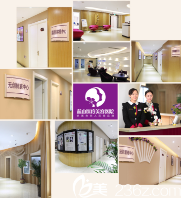 石家莊藍(lán)山醫(yī)療美容醫(yī)院