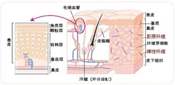 激光祛痘原理 激光祛痘原理