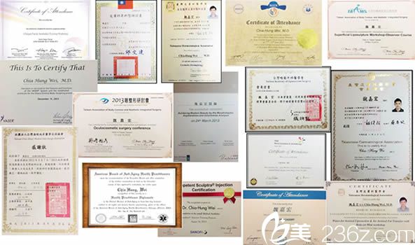 微整形醫(yī)生魏嘉宏所獲榮譽證書 微整形醫(yī)生魏嘉宏所獲榮譽證書