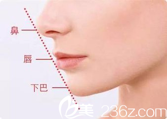下巴的美學標準鼻唇下巴在一條直線上