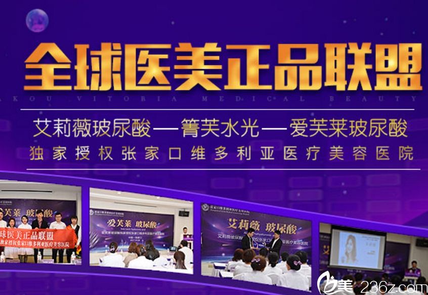 張家口維多利亞在哪 位置