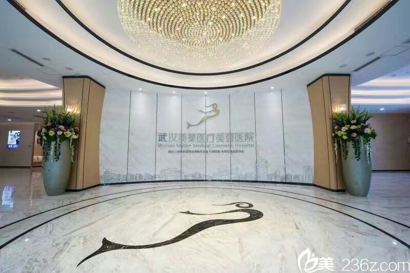 武漢美萊整形醫(yī)院大廳環(huán)境 武漢美萊整形醫(yī)院大廳環(huán)境