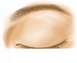 新月形雙眼皮所適合的臉型