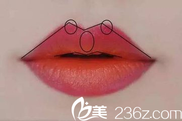 微笑唇也就是學(xué)術(shù)上的M唇