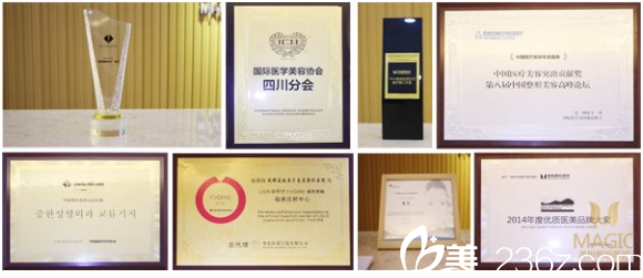 成都美極醫(yī)療美容醫(yī)院榮譽(yù)