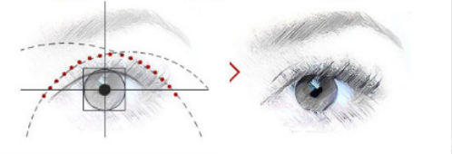韓國藝德雅整形外科眼部整形示意圖