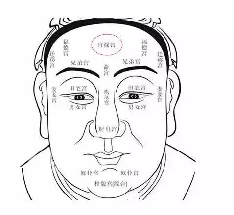 額頭在面相學(xué)中的講究，豐滿的額頭很重要