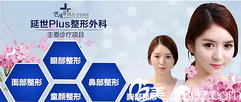 延世Plus整形外科醫(yī)院主要擅長整形項(xiàng)目介紹