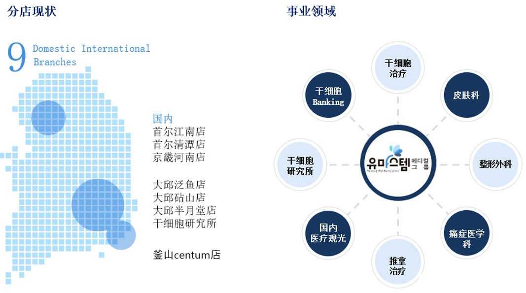 維摩醫(yī)院集團事業(yè)領域