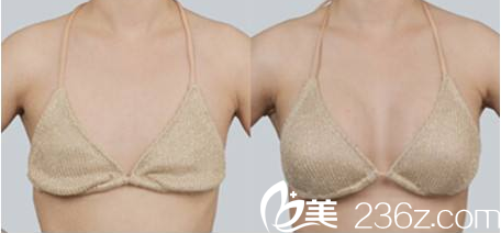 ELLIUM女性醫(yī)院案例