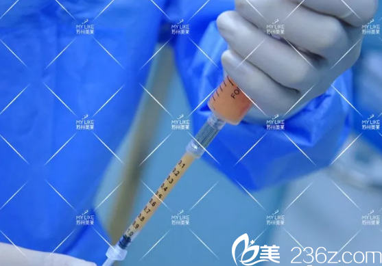 從下巴取出的脂肪準備墊下巴