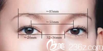 眼部整形美學(xué)標(biāo)準(zhǔn) 眼部整形美學(xué)標(biāo)準(zhǔn)