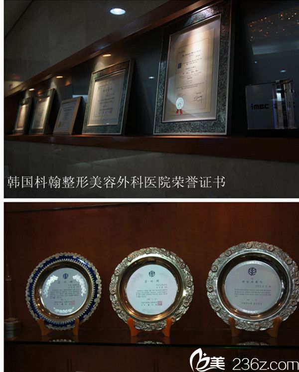 韓國(guó)枓翰整形外科醫(yī)院榮譽(yù)