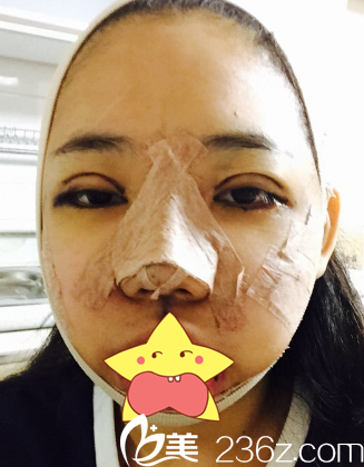 第二天，感覺自己是豬豬