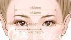 雙眼皮設(shè)計原理