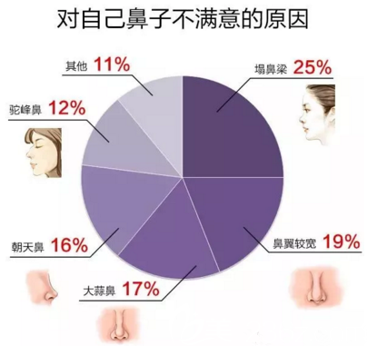 對自己鼻子不滿意的人群比例