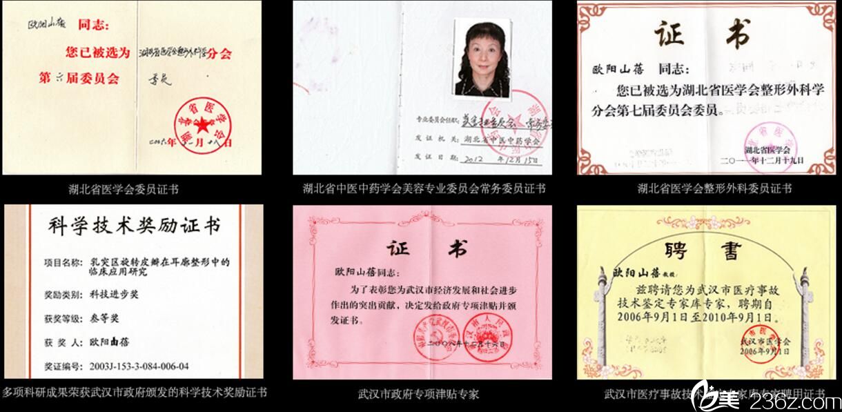 歐陽山蓓榮譽證書 歐陽山蓓榮譽證書