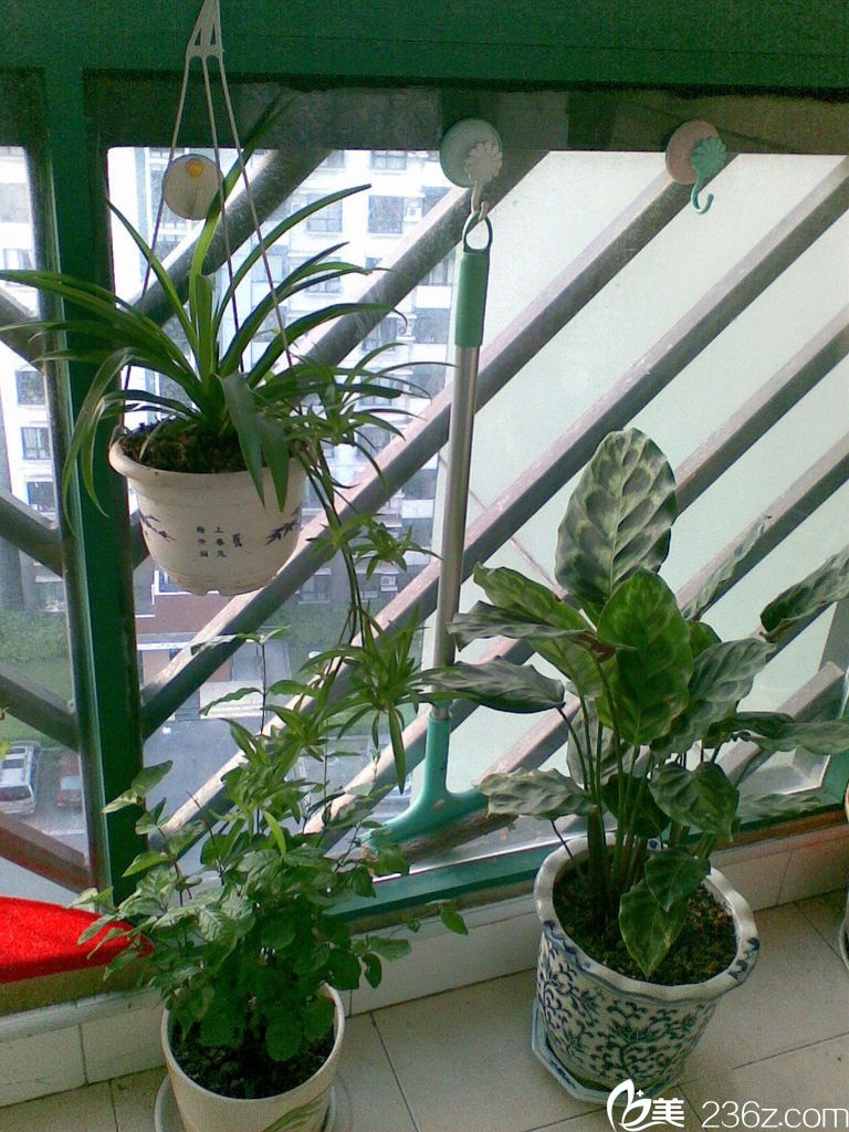 穆生海院長閑暇日常 穆生海院長閑暇日常