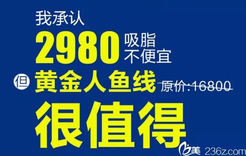 亞太黃金人魚線