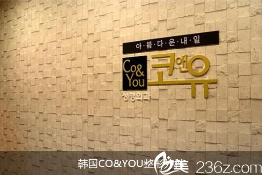 韓國(guó)CO&YOU整形外科 韓國(guó)CO&YOU整形外科