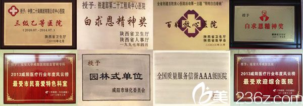 延安<!--<i data=20240703-sp></i>-->咸陽(yáng)醫(yī)院所獲部分榮譽(yù)