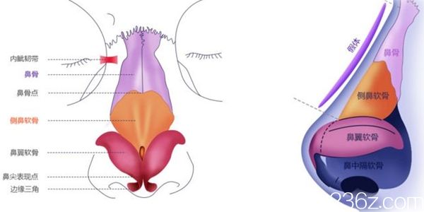 北海維納斯做隆鼻做得好不好？鼻綜合手術(shù)19800元起幫你美鼻