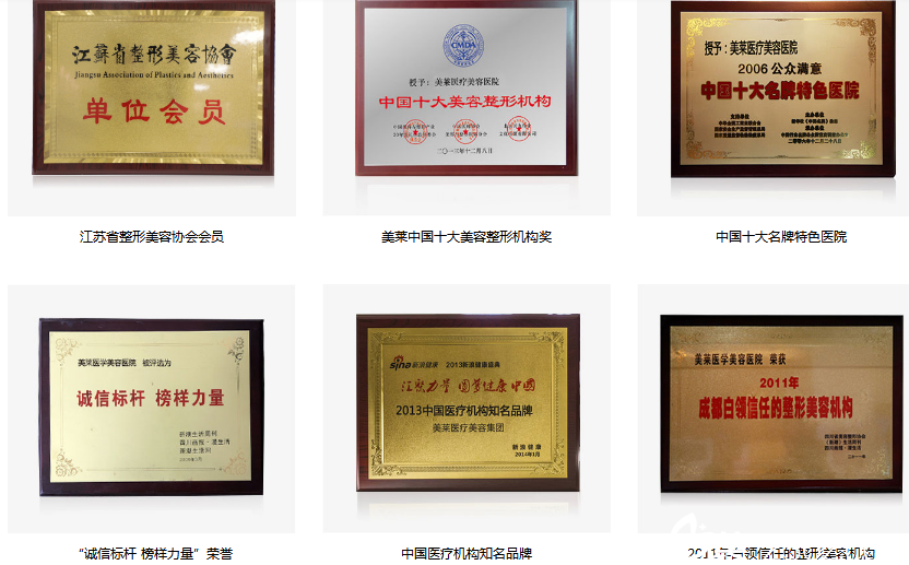 美萊集團所獲得的<span style=