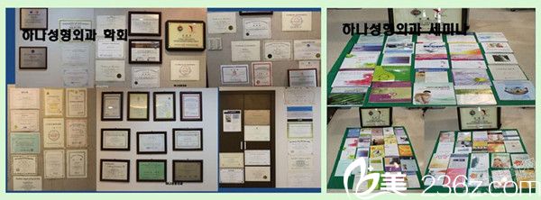 韓國韓亞整形醫(yī)院所獲榮譽 韓國韓亞整形醫(yī)院所獲榮譽