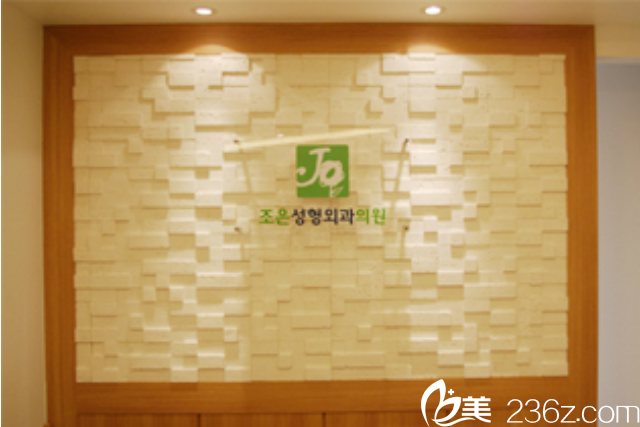 韓國Joy整形外科醫(yī)院