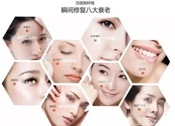 南寧夢(mèng)想做自體脂肪活細(xì)胞移植優(yōu)勢(shì) 南寧夢(mèng)想做自體脂肪活細(xì)胞移植優(yōu)勢(shì)