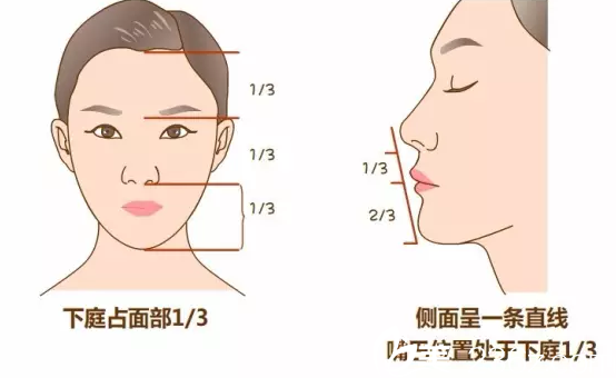 好看下巴的美學(xué)標(biāo)準(zhǔn) 好看下巴的美學(xué)標(biāo)準(zhǔn)