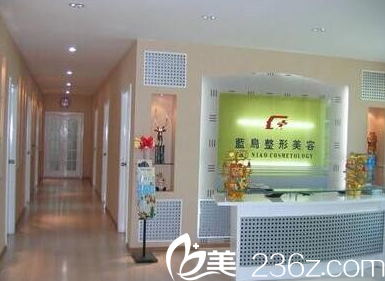 潛江藍(lán)鳥(niǎo)口碑好嗎？2018年潛江藍(lán)鳥(niǎo)價(jià)格表雙眼皮只要5620元起