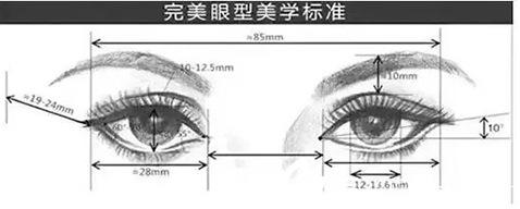 大同美神完美眼型美學(xué)標(biāo)準(zhǔn)圖