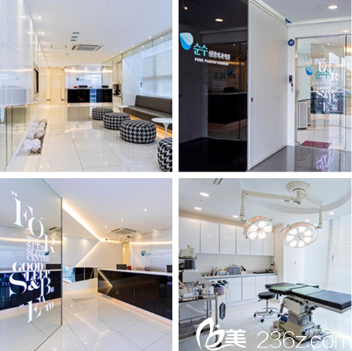 韓國(guó)純真整形外科怎么樣