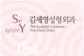 韓國(guó)金世永整形外科標(biāo)牌 韓國(guó)金世永整形外科標(biāo)牌