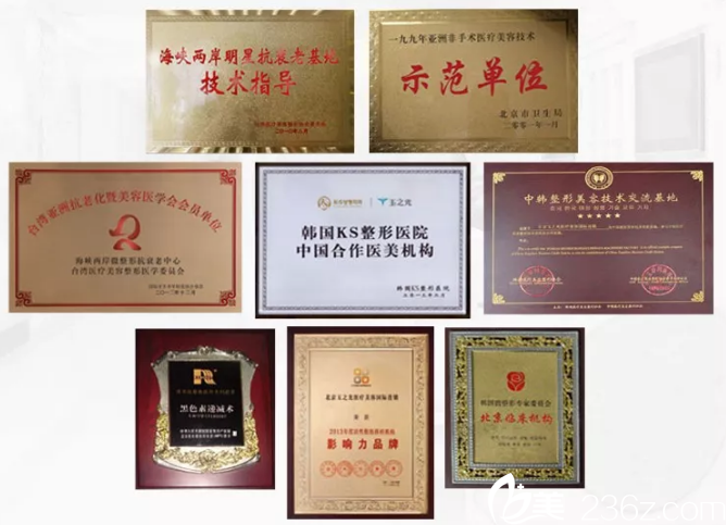 北京潤美玉之光部分證書 北京潤美玉之光部分證書