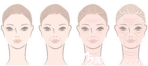 韓國樸賢整形外科自體脂肪移植 韓國樸賢整形外科自體脂肪移植