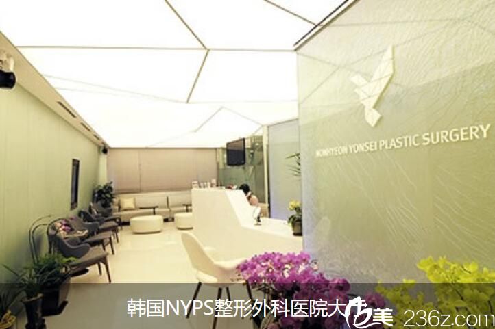 韓國NYPS整形外科 韓國NYPS整形外科