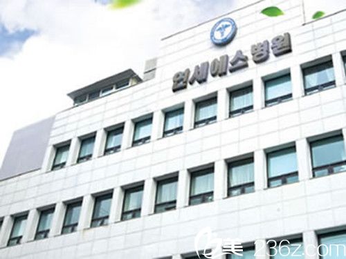 韓國延世SK整形醫(yī)院 韓國延世SK整形醫(yī)院