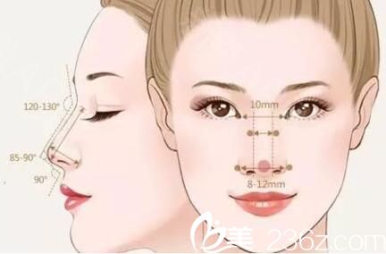 當(dāng)今流行的網(wǎng)紅鼻形