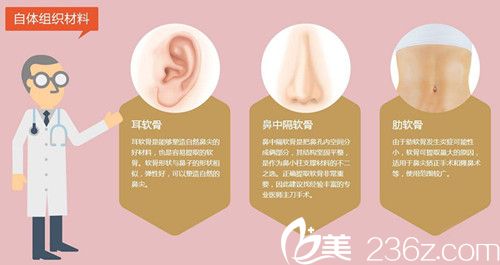 自體軟骨隆鼻材料