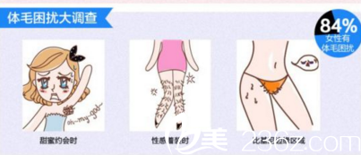 如今大多數(shù)女性受體毛影響的占比