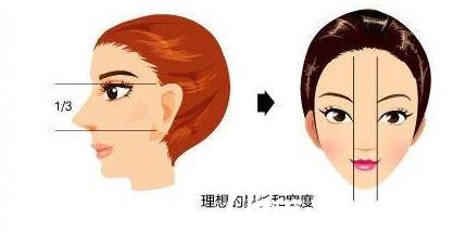 假體隆鼻理想標(biāo)準(zhǔn)